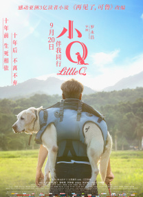 午夜网站在线观看免费网址免费